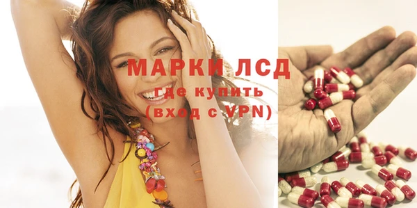 каннабис Аркадак