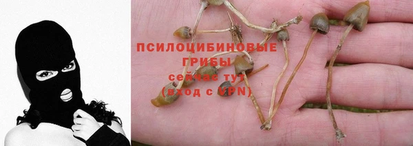 индика Алексеевка