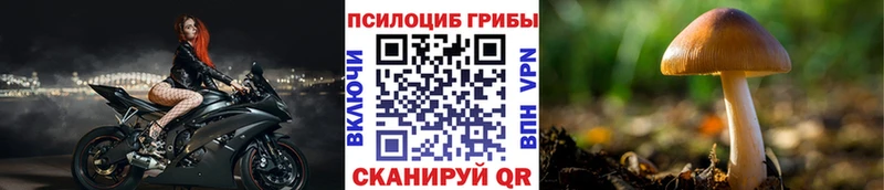 Псилоцибиновые грибы Cubensis  наркота  Узловая 